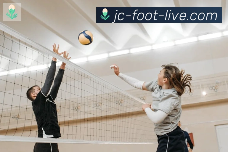 竞彩网首页荣誉