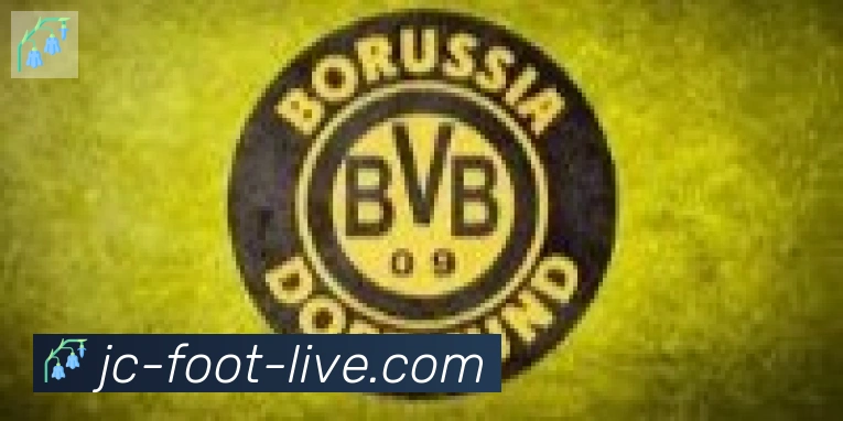 竞彩网首页合作伙伴